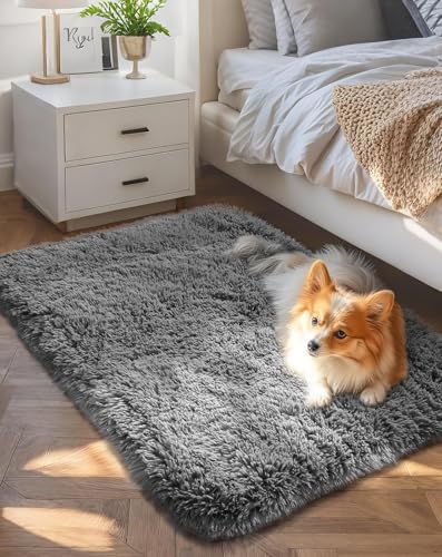 Ophanie Ophanie 2x4 Small Rug Upgrade Non Slip Throw Bedside Area Rugs — Key features at a glance