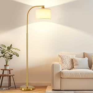 KQW Tall Floor Lamp for Living Room,65'' Modern Standing Lamps with 9W LED Bulb,Elegant Fl
