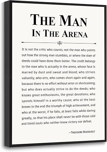 Howwii Inspirational Wall Art Office Decor The Man in the Arena Motiva — Complete testing methodology overview