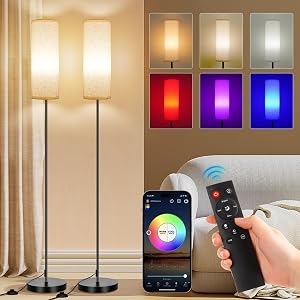 FRIDEKO HOME 2 Pack Floor Lamps for Living Room, Dimmable Colors Temperature & Brightn