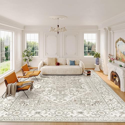 befbee 8x10 Area Rugs for Living Room, Stain Resistant Neutral Washabl — Real-world performance testing in action